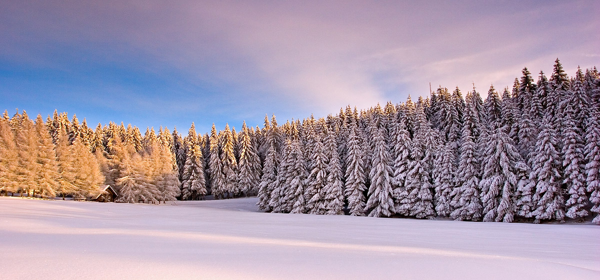 Coucher de soleil sur la Forêt Noire
