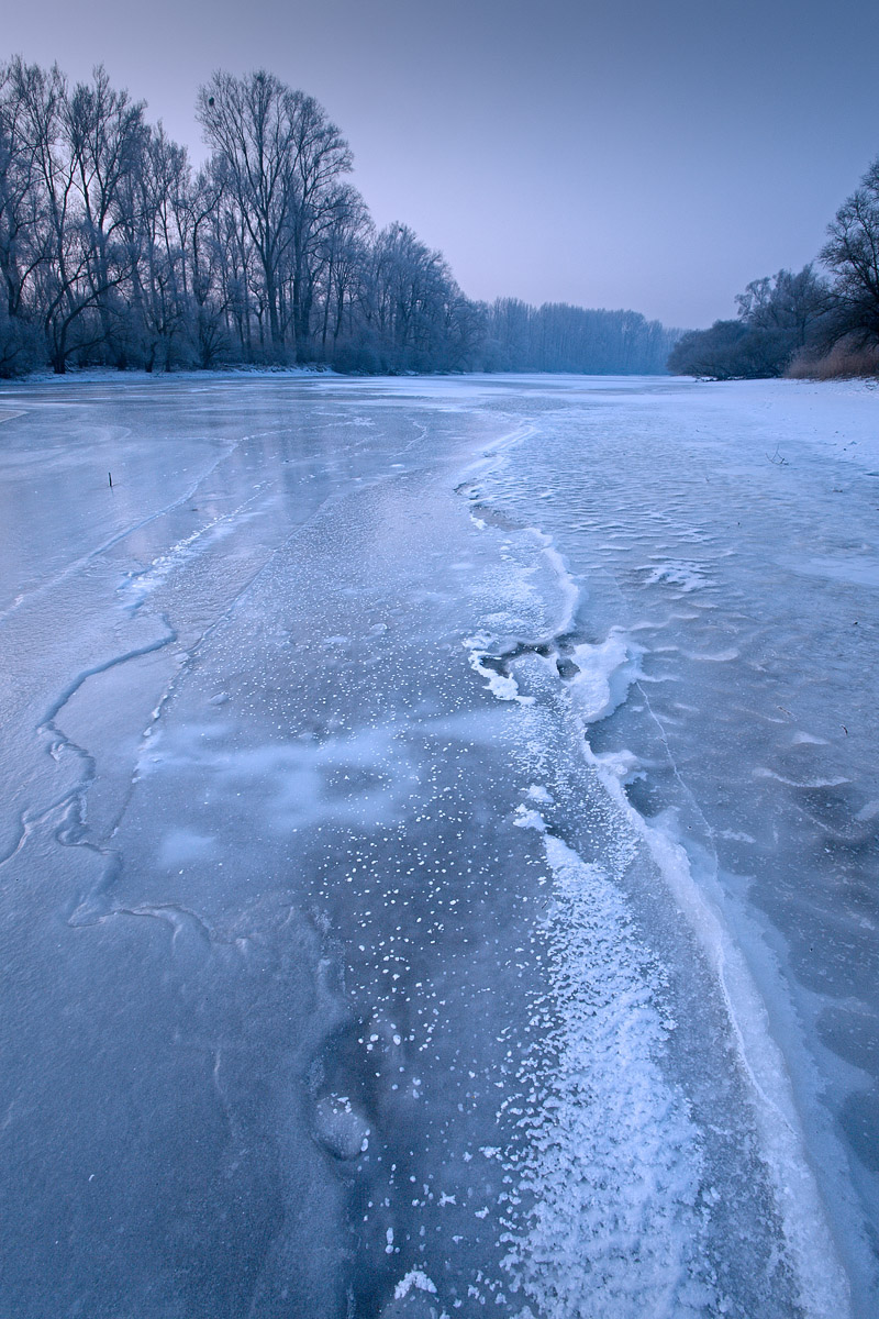 Rhin gele au Delta de la Sauer