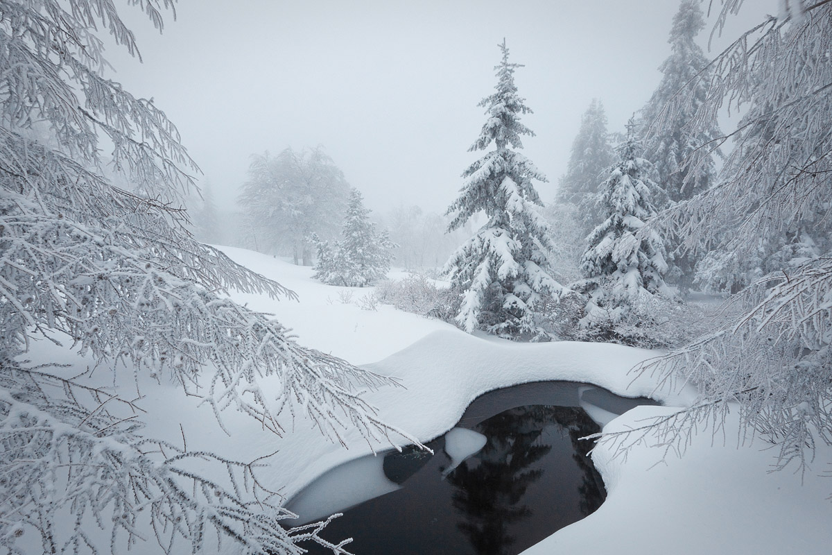 Douceur hivernale