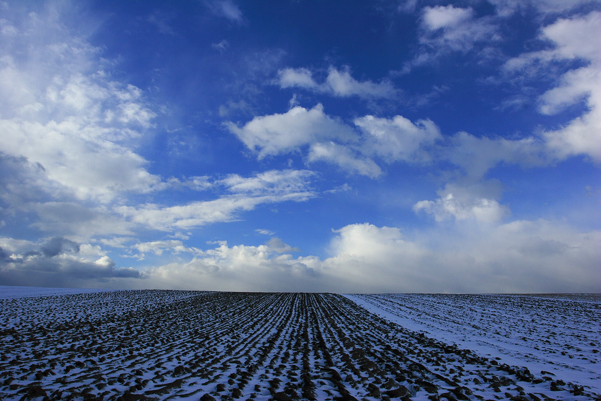 Champs en hiver