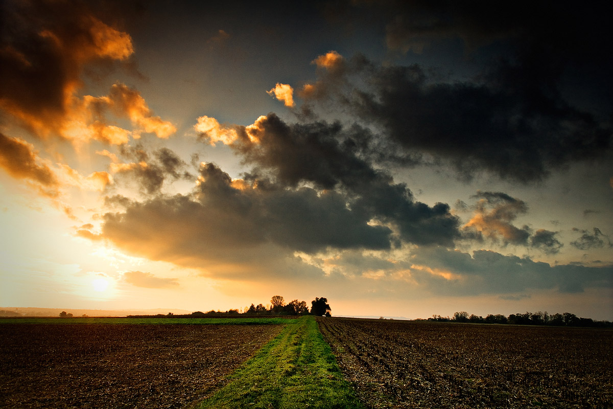 Vers l'horizon