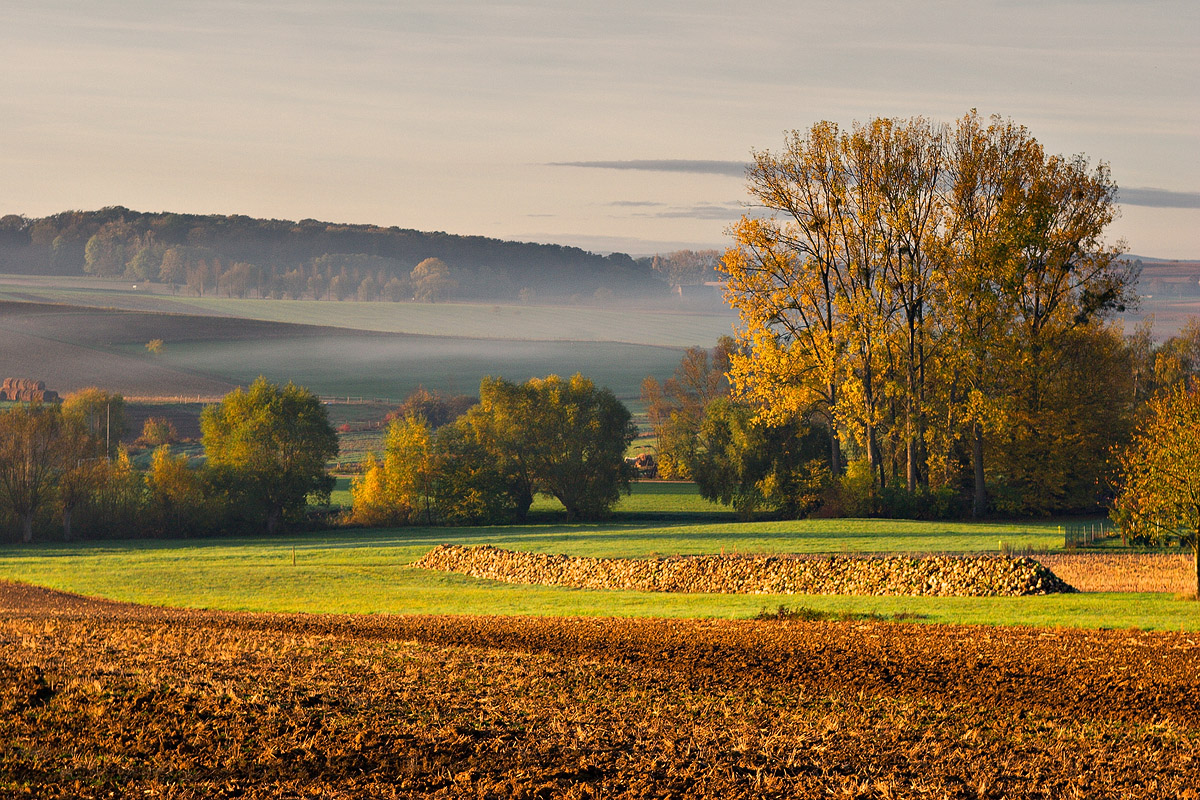 Matin d'automne