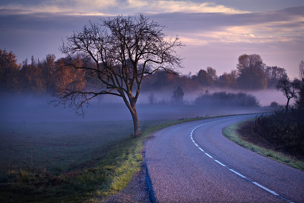 Petit matin