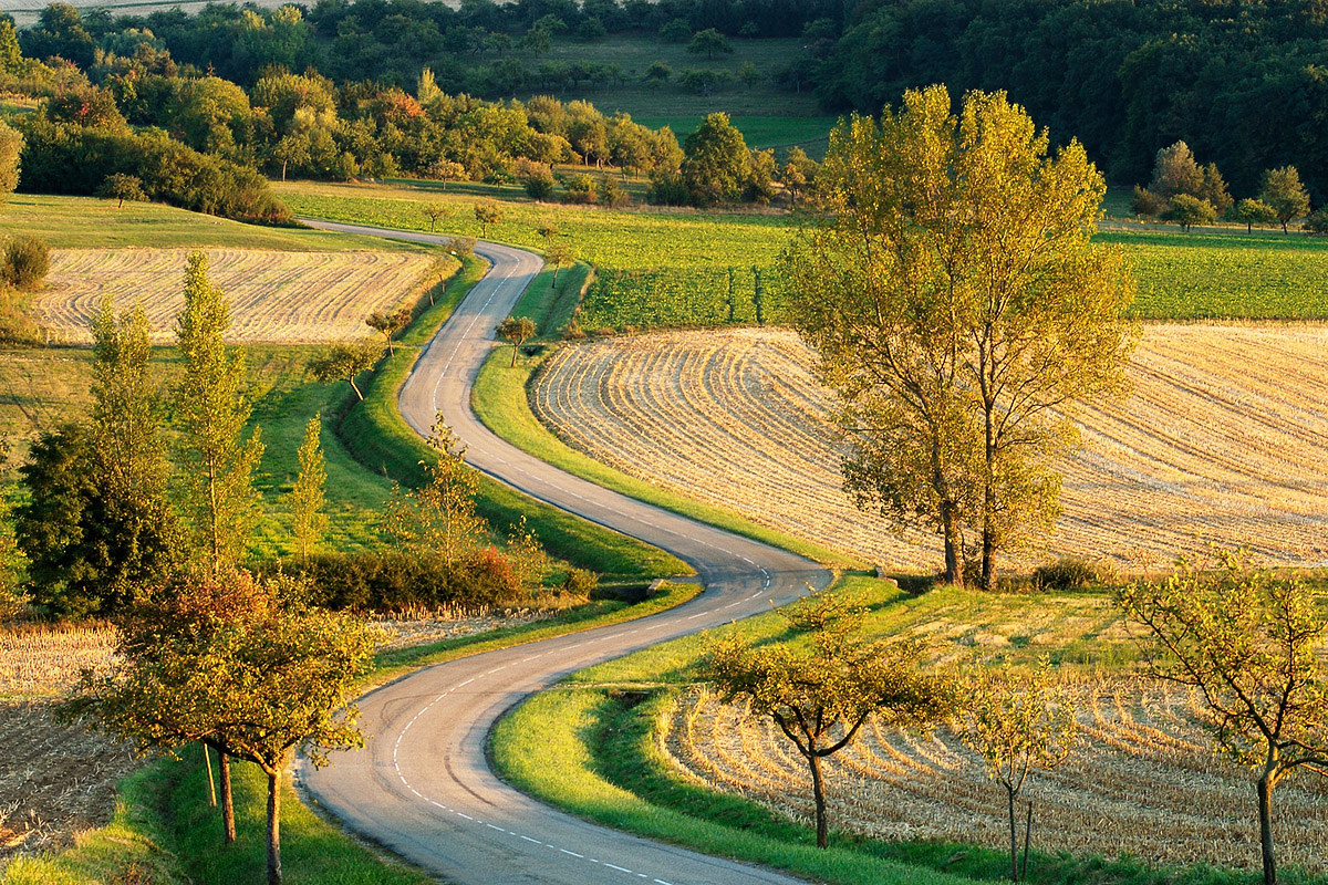Route sinueuse dans le pays de Hanau