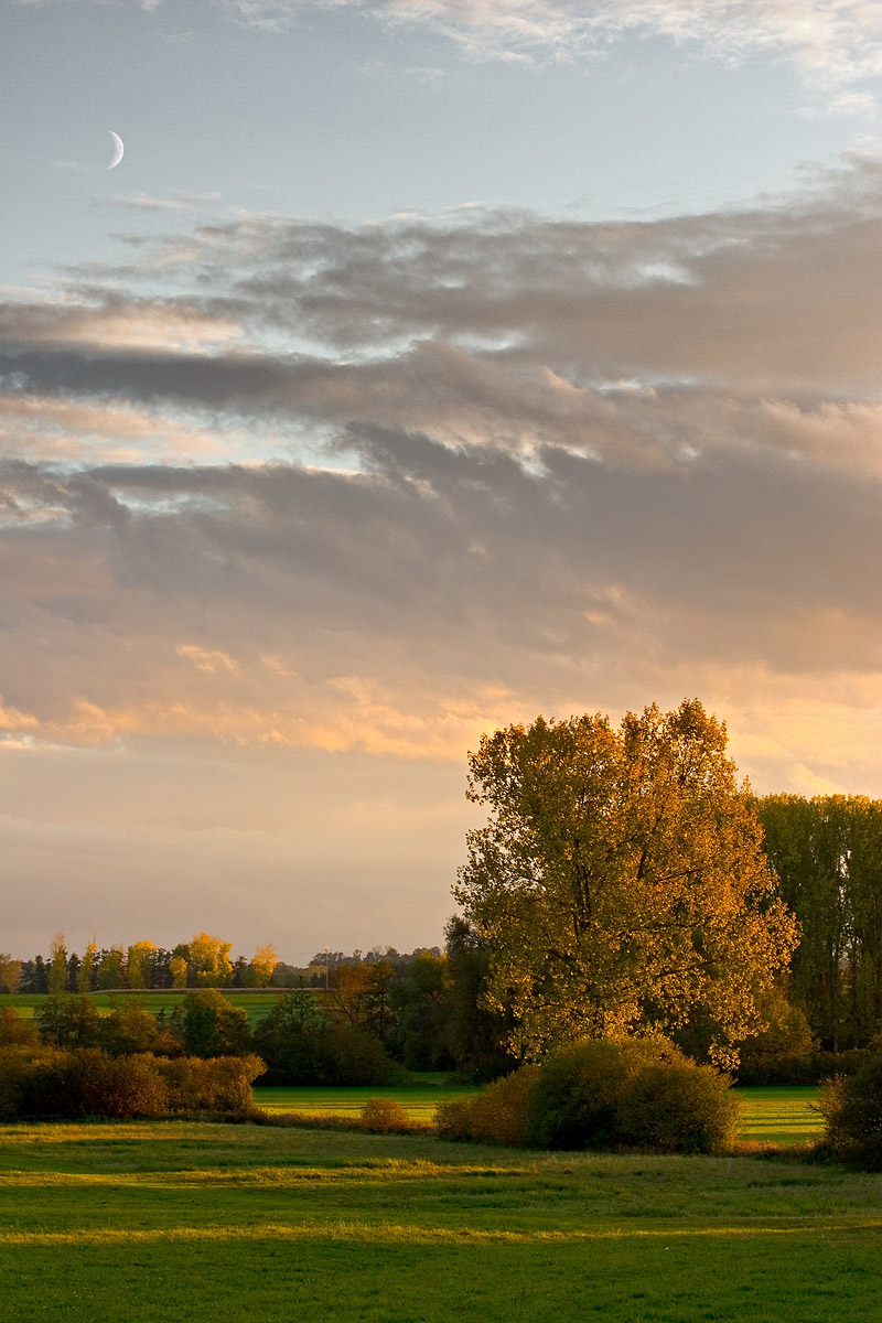 Soirée d'automne