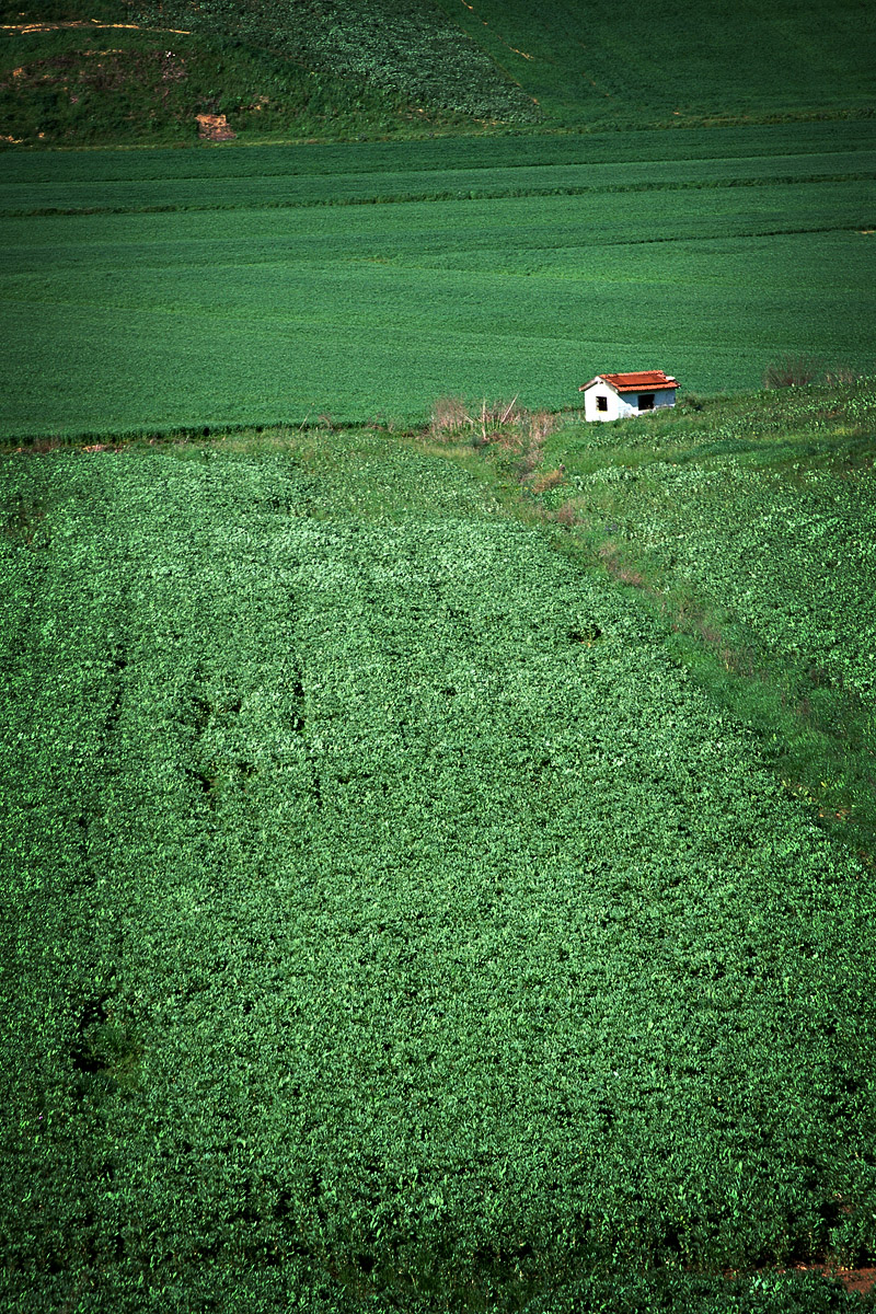 Champs, Toscane