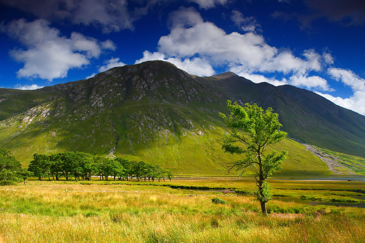 Sur la route du Glen Etive
