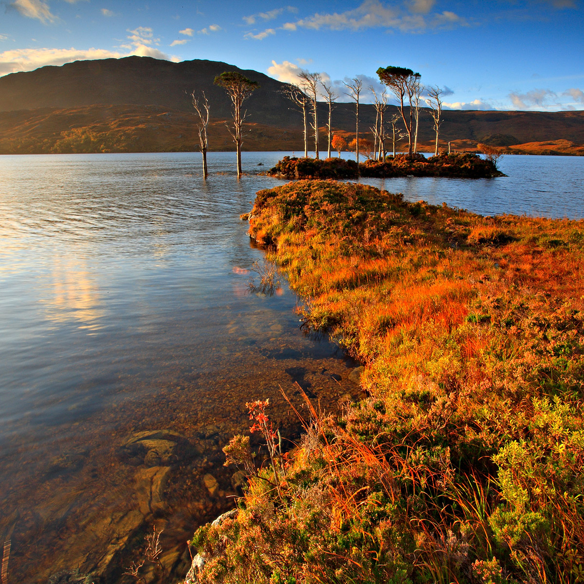 Loch Assynt