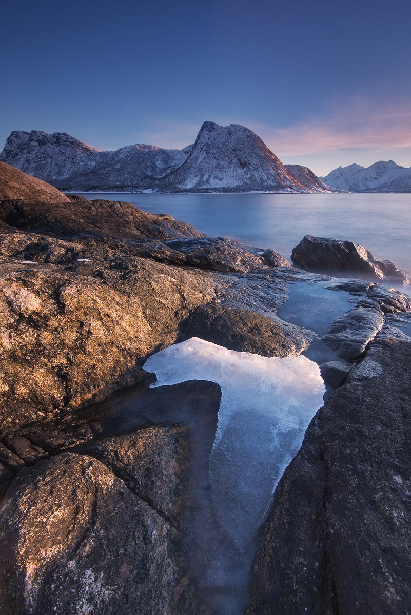Grunnfarnes